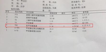 甲状腺血流速度多少正常值