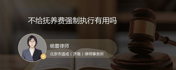 抚养费强制执行有用吗