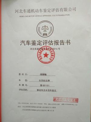 车辆鉴定报告多久出来