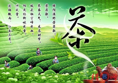 好听的茶叶名字大全集