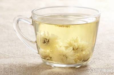 喝菊花茶的禁忌