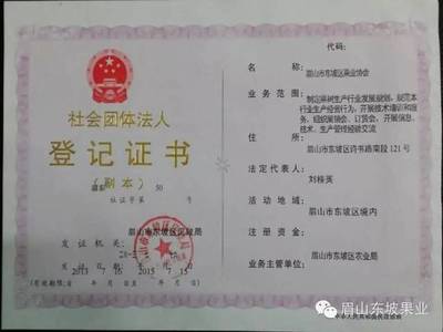社会团体法人登记证书查询