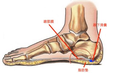 脚底内侧疼是怎么回事