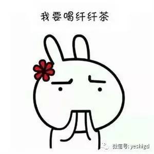 我要抽脂减肥