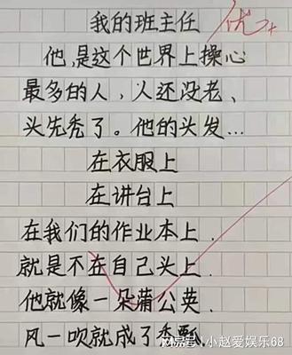 我眼中的班主任400字作文怎么写