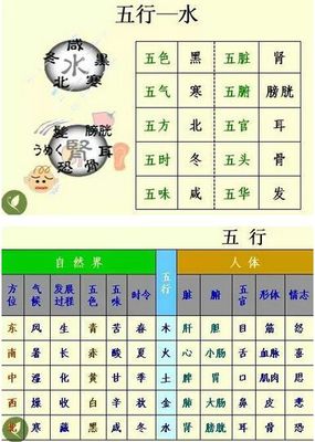 五行属木的城市