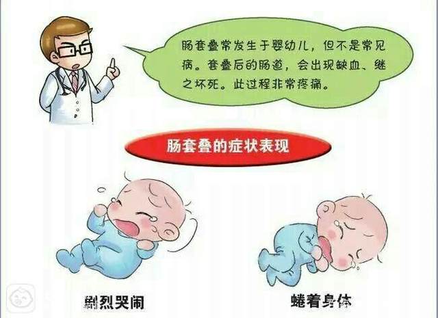 引起宝宝肠绞痛的原因