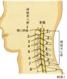 神经根颈椎病怎么治疗最好
