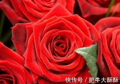 属虎和属羊的合不合财