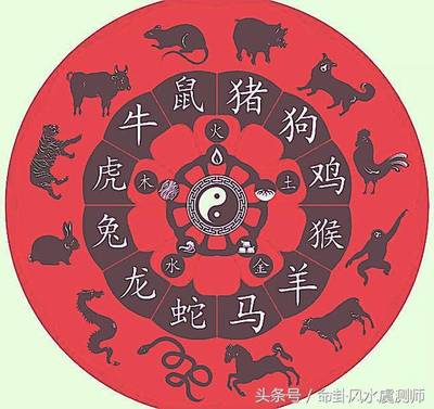 什么生肖相克