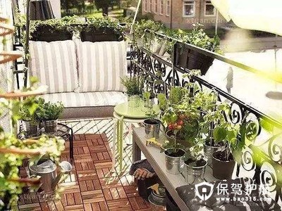 阳台花园打造