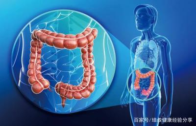 结肠息肉需要多少费用