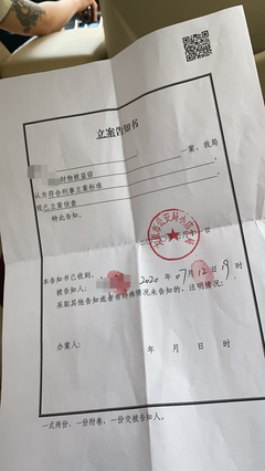 丢失价值多少可以立案