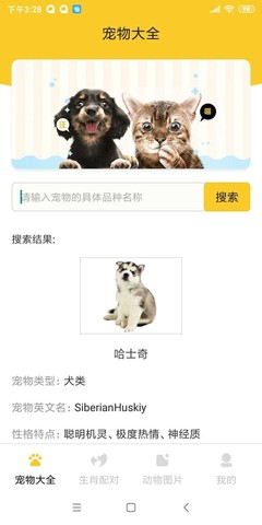 英文名宠物