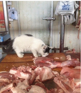 周公解梦梦见吃猪肉