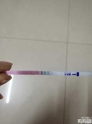 每个月都排卵吗