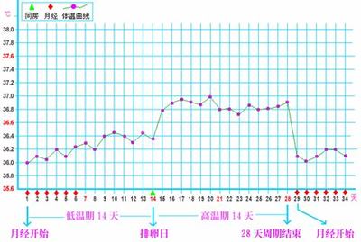 增加怀孕几率的方法
