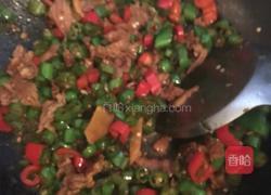 孕妇可以吃辣椒炒肉吗