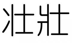 壮字五行属什么