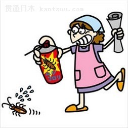 厨房都是蟑螂