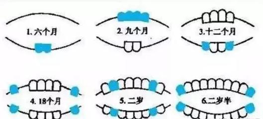 九个月宝宝不长牙