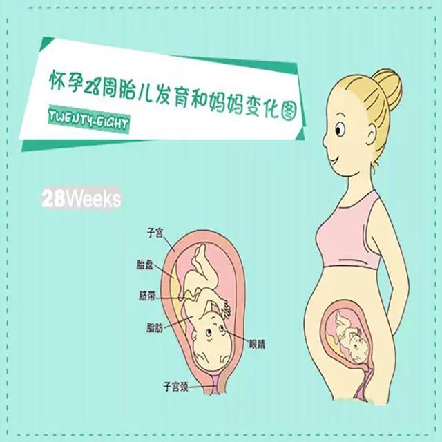 怀孕臀位怎么办