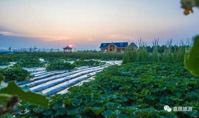 嘉荫 旅游攻略