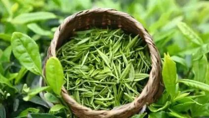 白茶营养成分