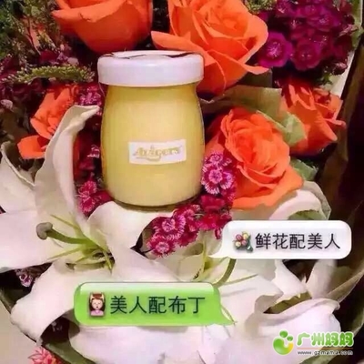孕妇可以吃布丁吗