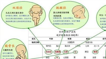 十一周是几个月