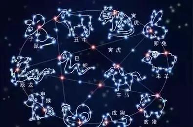 属鼠的和属蛇的相克吗