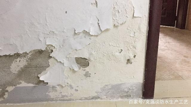 墙面泛碱的原因