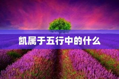凯字五行属什么的