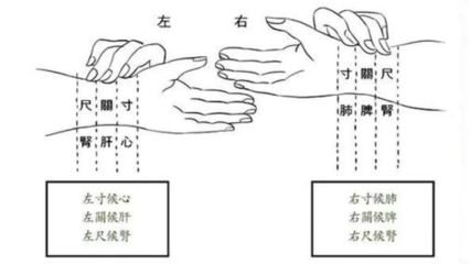 怀孕脉象图解