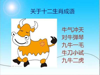 九牛一毛指什么生肖