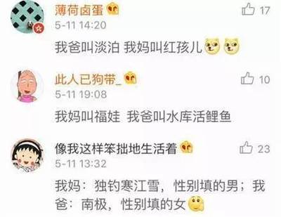 淡泊的网名