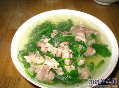 菠菜羊汤的做法大全家常