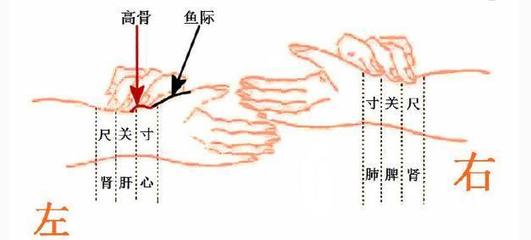 怀孕脉象图解