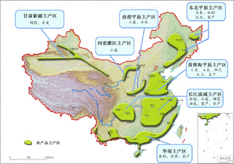 农业大格局怎么看