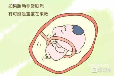 胎儿晚上动的厉害