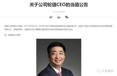 什么是CEO体制