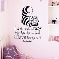 I am a crazy cat lady