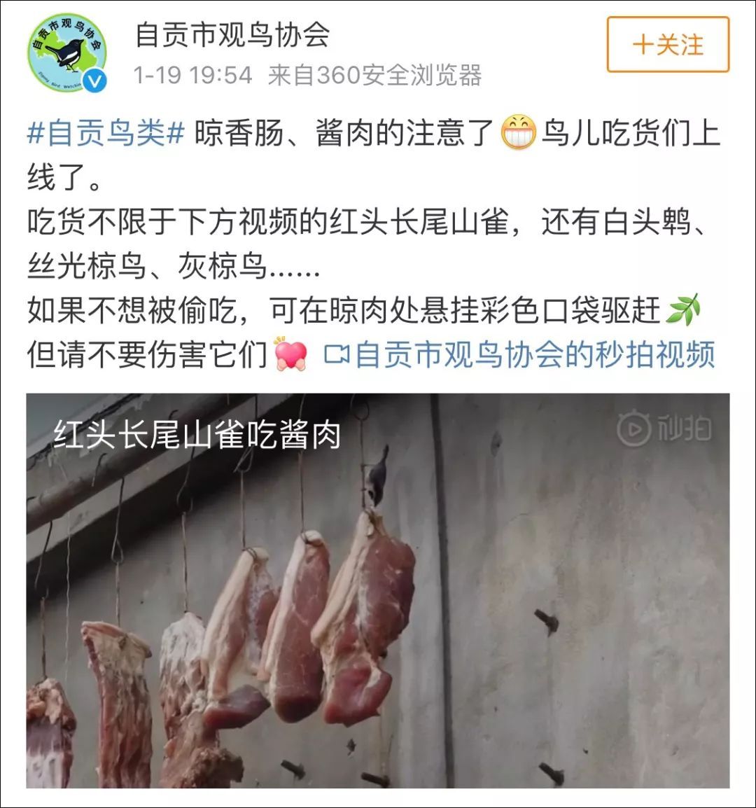 晾香肠腊肉怎样防鸟啄