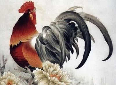 属鸡的今年财运好吗
