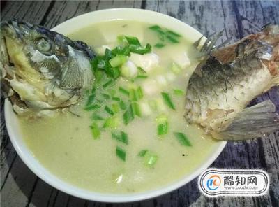 孕妇鲫鱼豆腐汤的做法