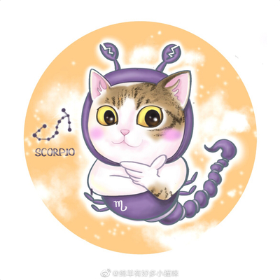 十二星座的猫