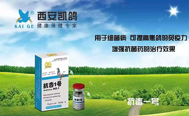 鸽子歪脖子怎么治疗