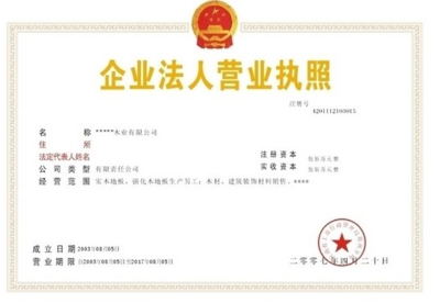 公司的法人代表是什么意思