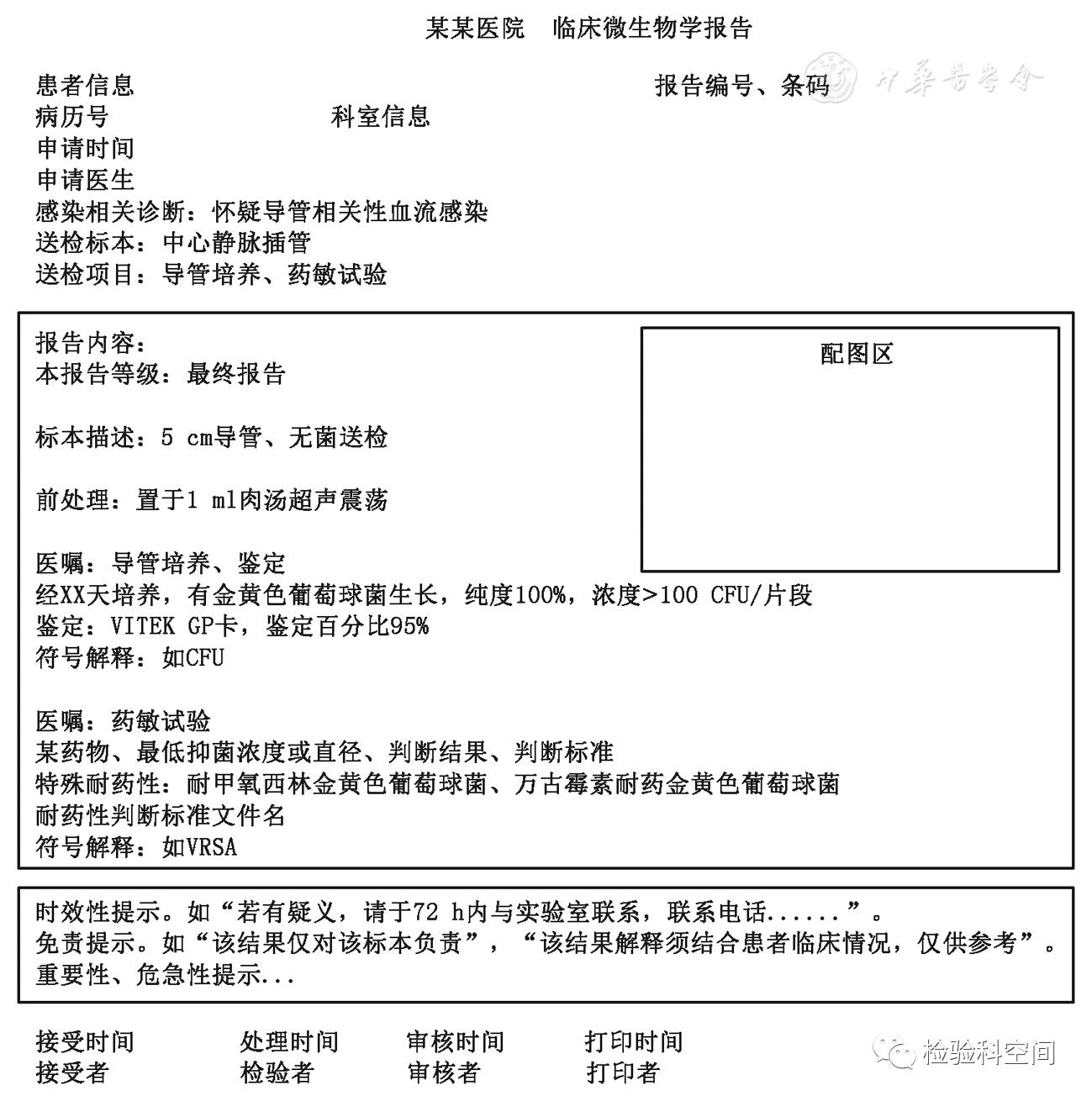 七喜娱乐平台官网相关图片:iPad Pro M5特写