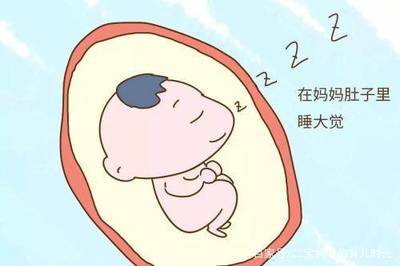 胎儿晚上动的厉害